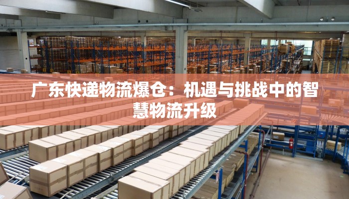 广东快递物流爆仓：机遇与挑战中的智慧物流升级