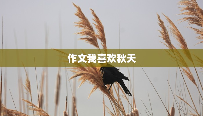 作文我喜欢秋天