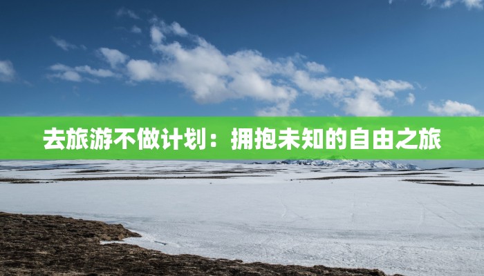 去旅游不做计划：拥抱未知的自由之旅