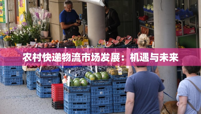 农村快递物流市场发展：机遇与未来