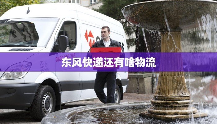 东风快递还有啥物流