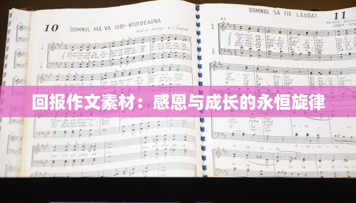 回报作文素材：感恩与成长的永恒旋律
