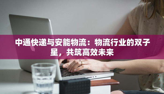 中通快递与安能物流：物流行业的双子星，共筑高效未来