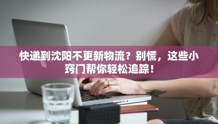 快递到沈阳不更新物流？别慌，这些小窍门帮你轻松追踪！
