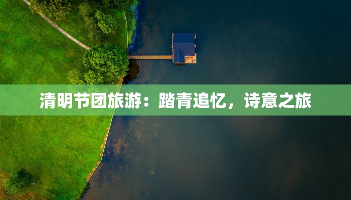 服装二大族类：揭秘时尚世界的两大脉络，引领你的穿搭革命