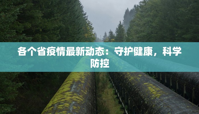 童年的趣事作文