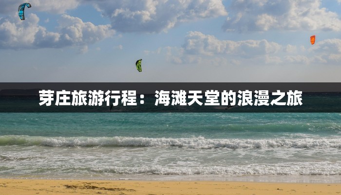 闲鱼物流丢件风波：从心塞到追回的逆袭之路