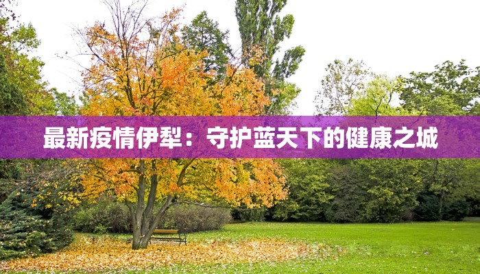 最新疫情伊犁：守护蓝天下的健康之城