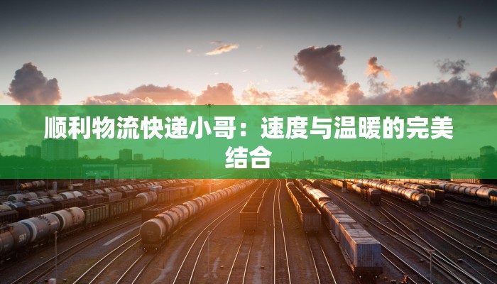 顺利物流快递小哥：速度与温暖的完美结合