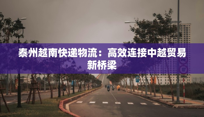 泰州越南快递物流：高效连接中越贸易新桥梁