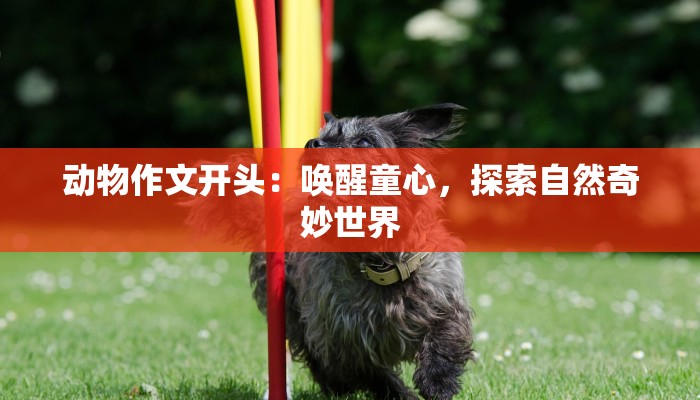 动物作文开头：唤醒童心，探索自然奇妙世界