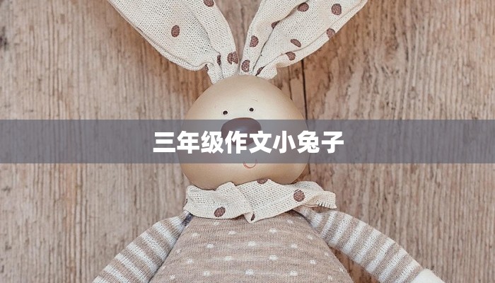 三年级作文小兔子