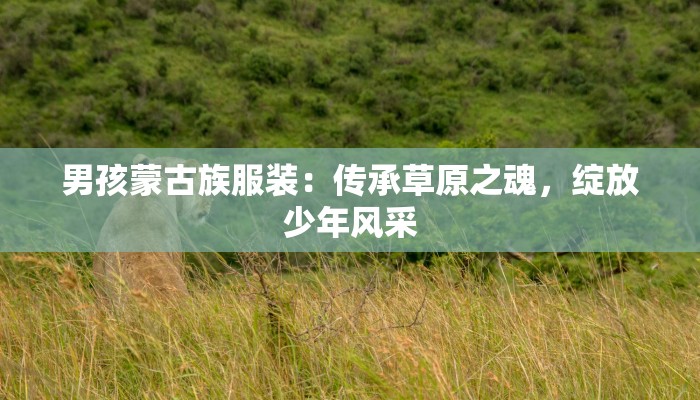 男孩蒙古族服装：传承草原之魂，绽放少年风采