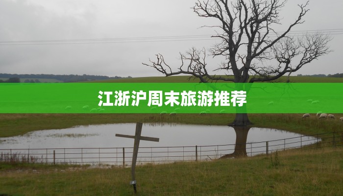 任村镇最新疫情情况