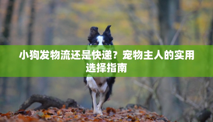 训练场疫情最新通报