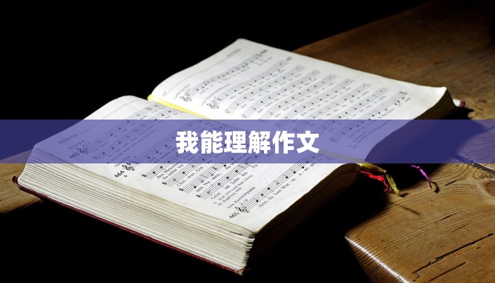 我能理解作文