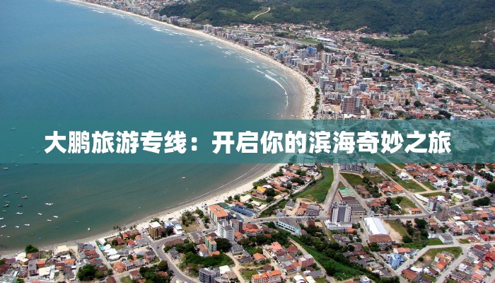 绥化疫情最新确诊：科学防控，守护健康家园