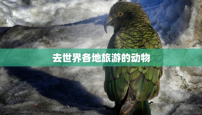 深圳肺炎疫情最新资讯