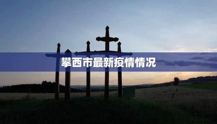 攀西市最新疫情情况