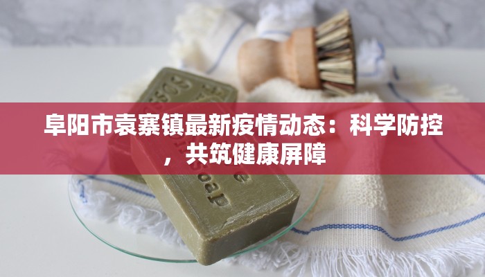 阜阳市袁寨镇最新疫情动态：科学防控，共筑健康屏障