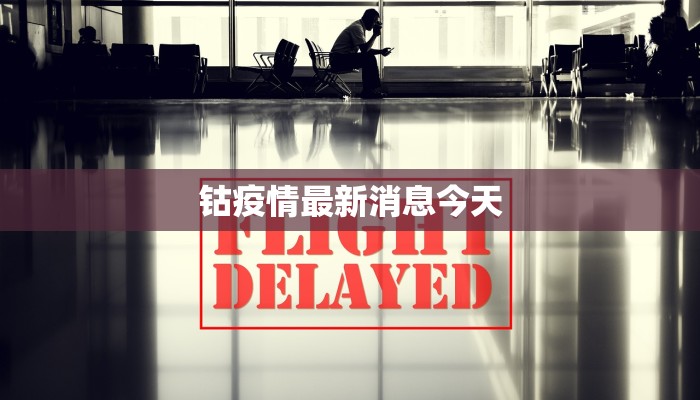 钴疫情最新消息今天